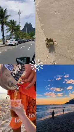 4x viagem