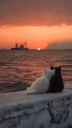 gün batımı