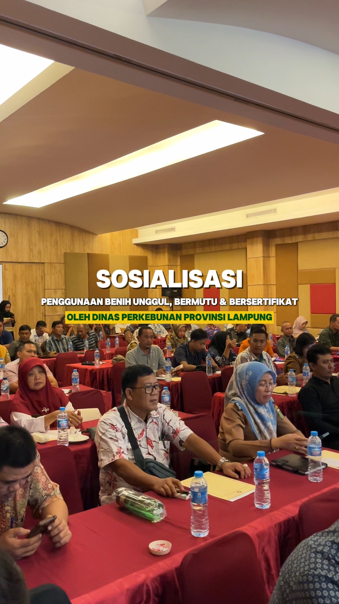 Sosialisasi y rapat