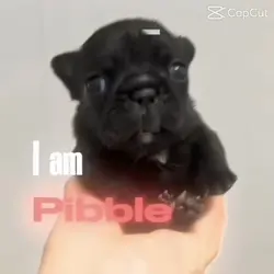 Wash ma belly