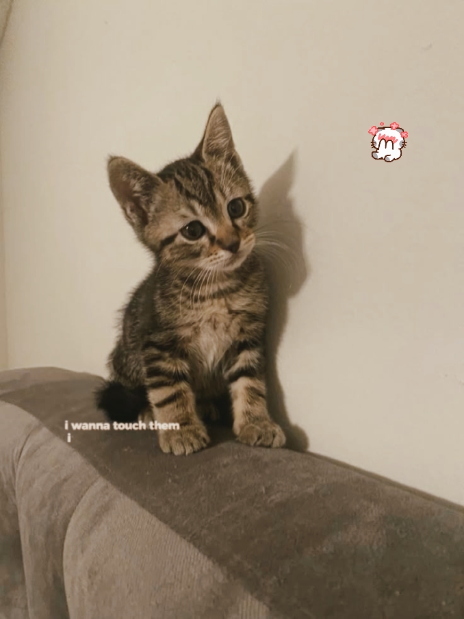 녹는 