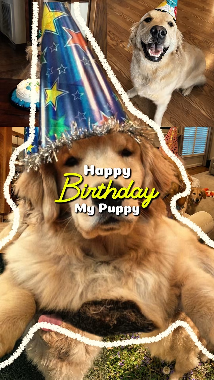 Geburtstag mein Hündchen 🐶 