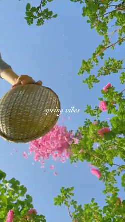 Spring Vibes