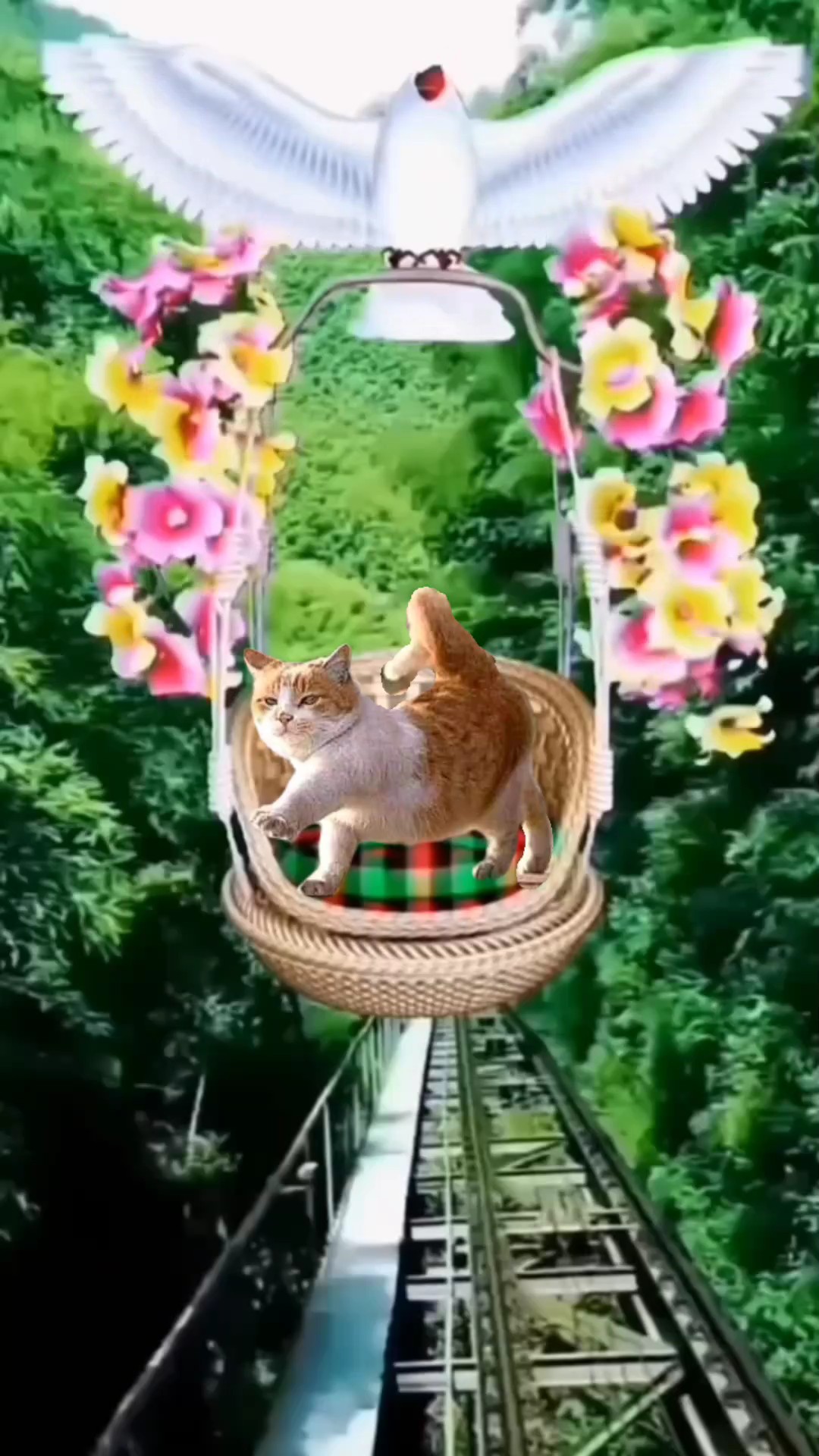Uçan 