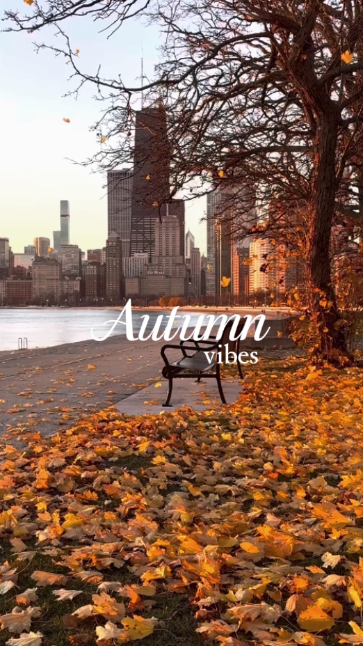 ambiance d'automne 