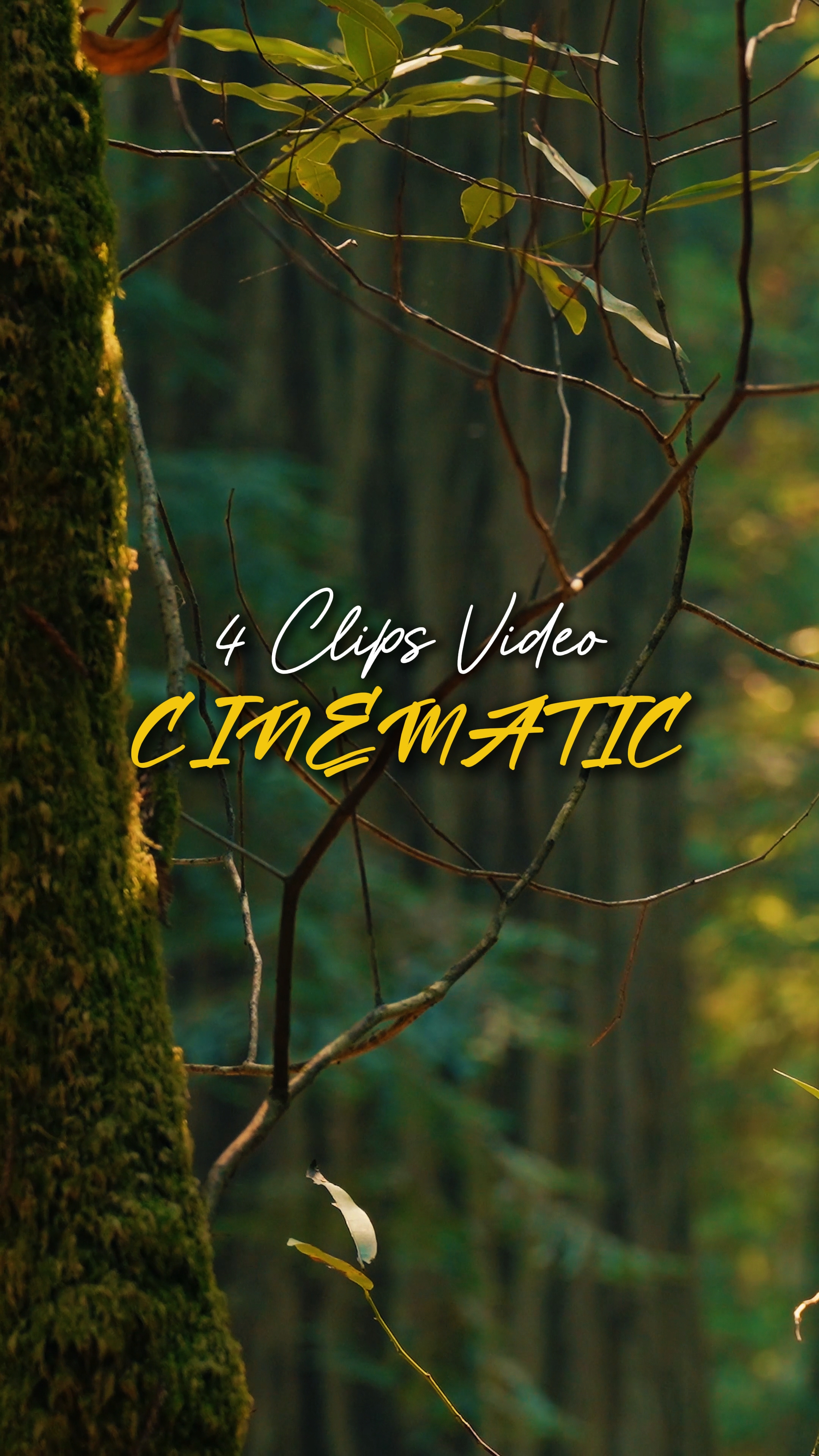 Cinématique 4 Vidéo