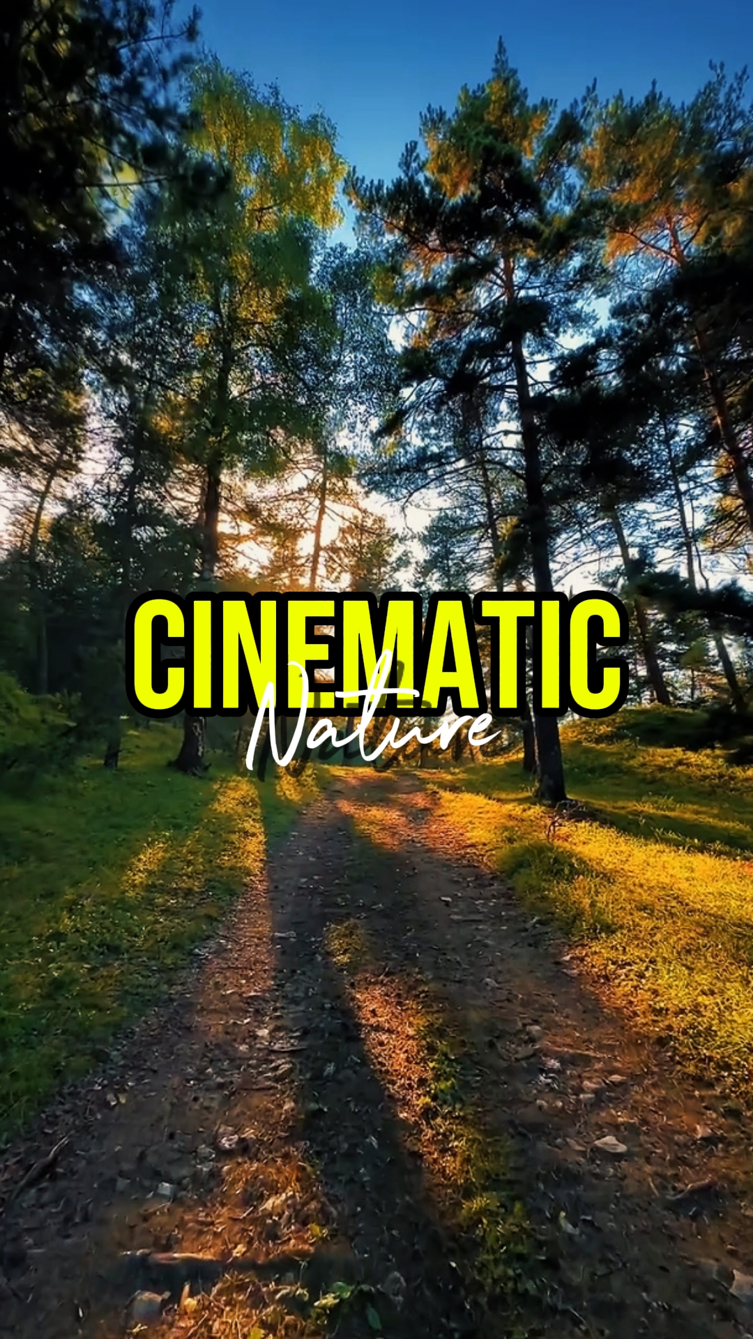 NATURE CINEMATIC