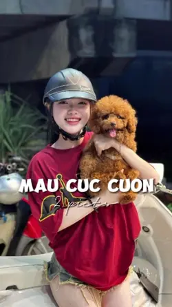 MẪU BEAT CỰC CUỐN 