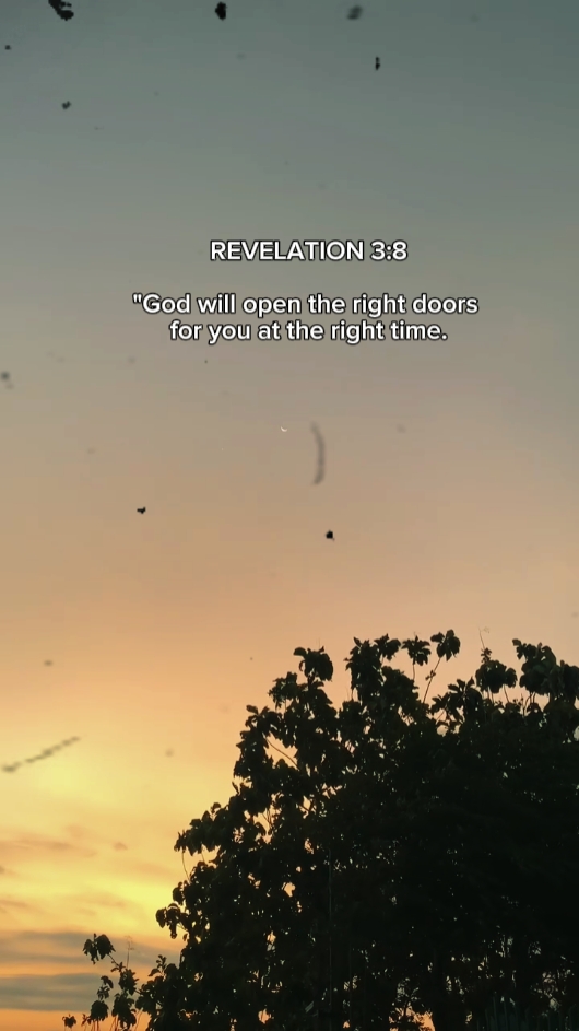 Apocalipse 3: 8