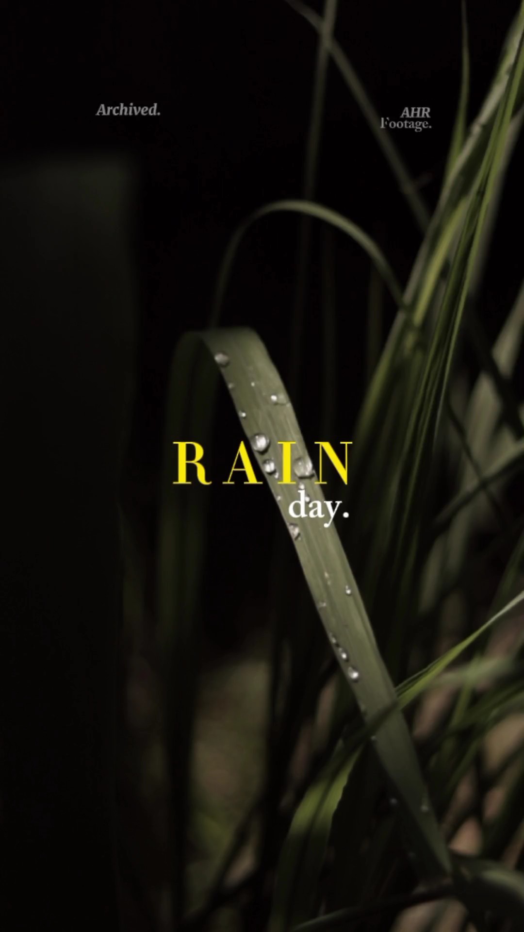 Rain day
