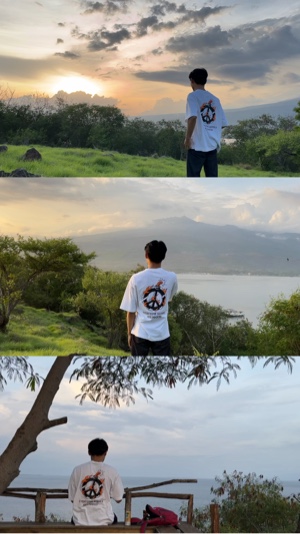 3 video tata letak