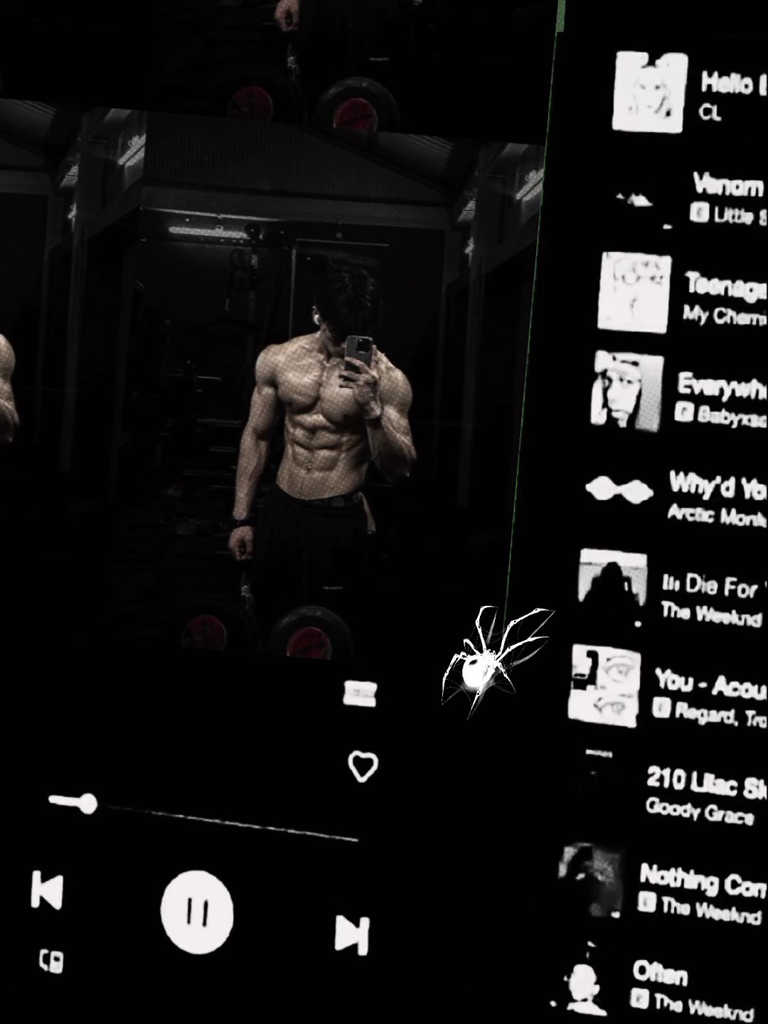 Cover Picture