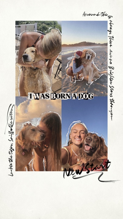 Ich bin nur ein Hundebaby