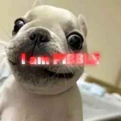 PIBBLE