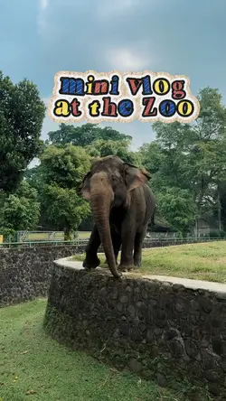 mini vlog zoo