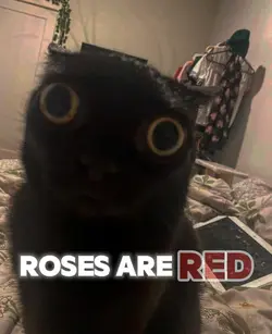 I'm in ur house