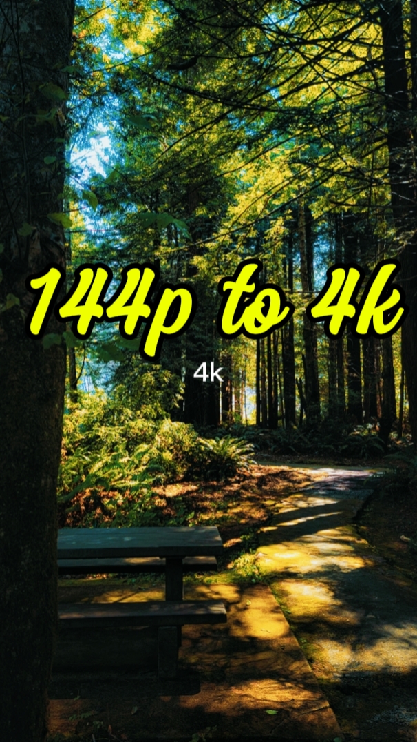 144p à 4k nature