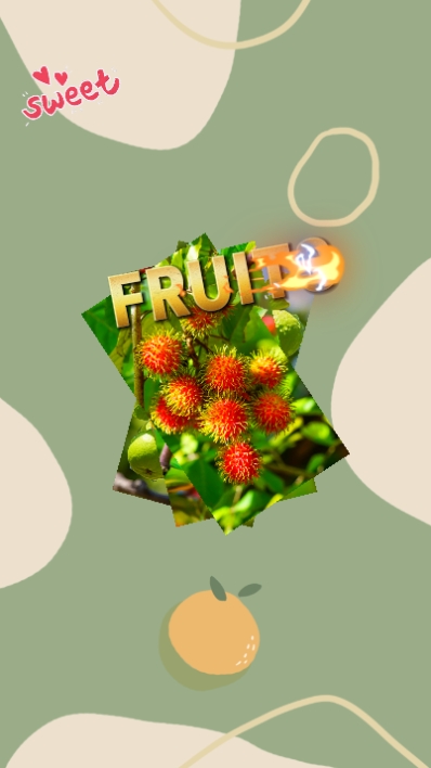 Früchte
