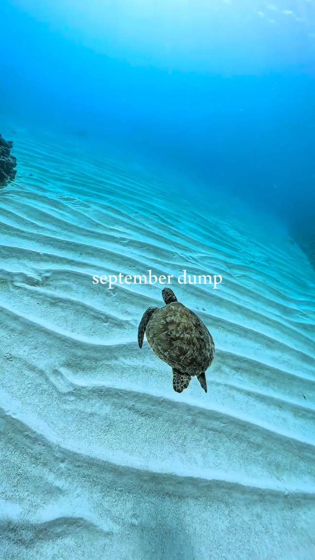 Volcado de septiembre