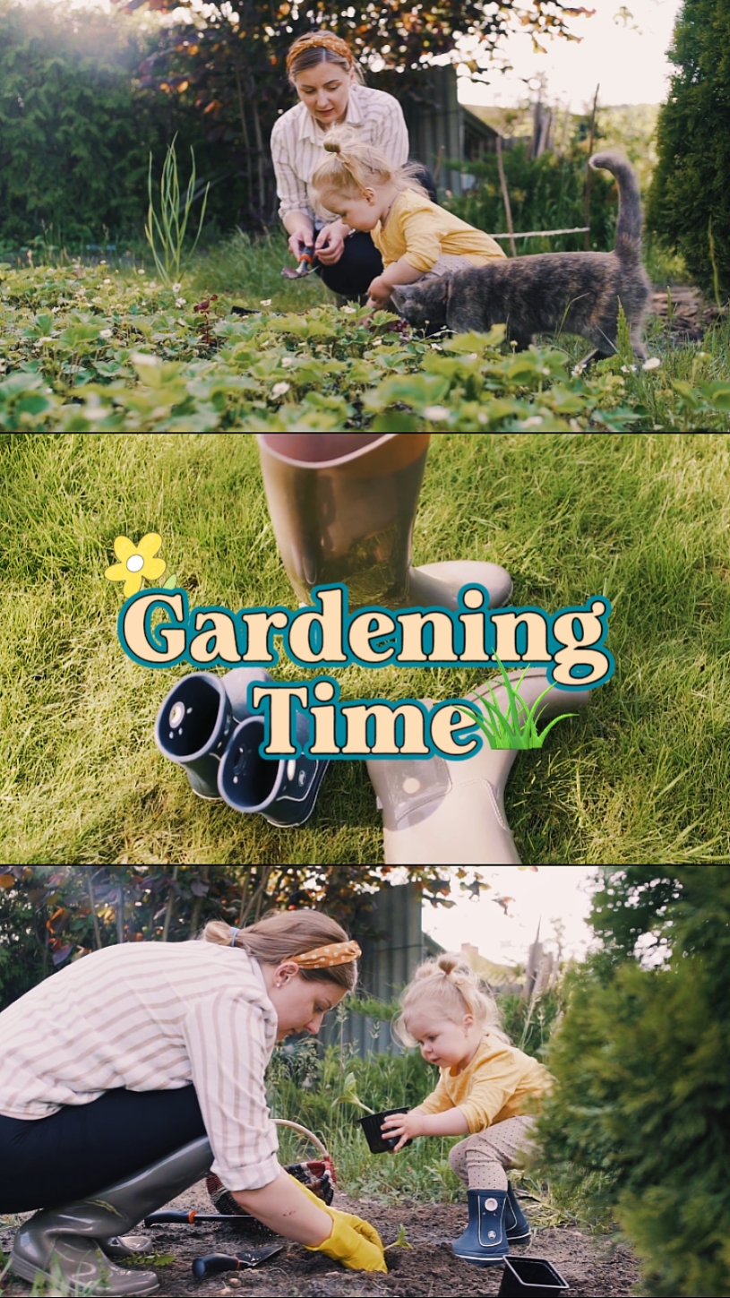 berkebun