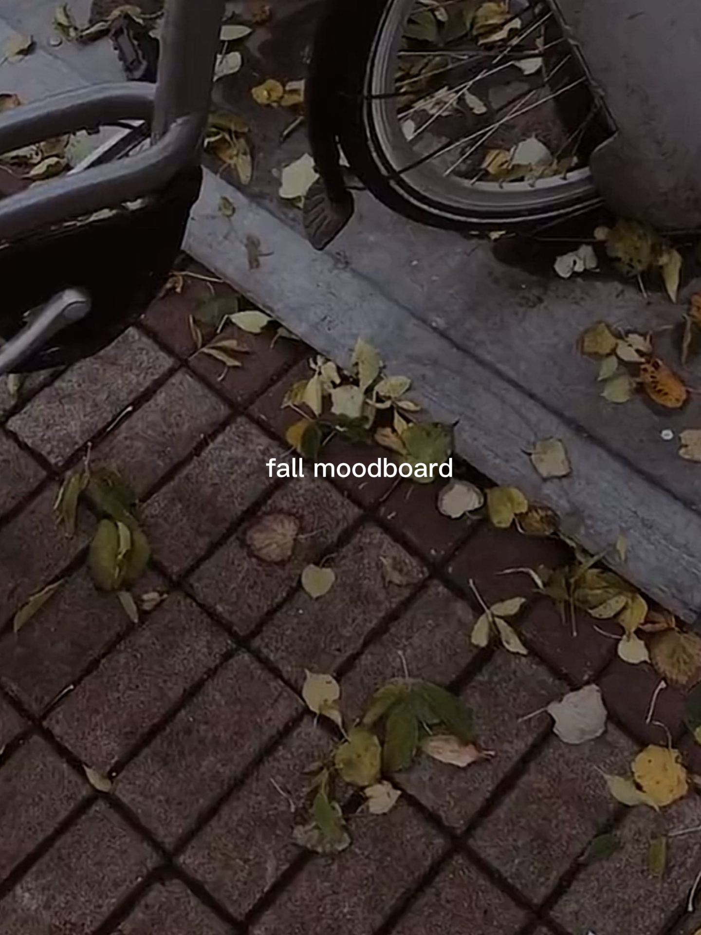 fall moodboard
