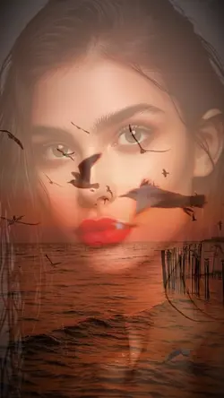 Overlay waves birds 
