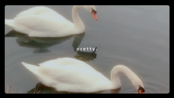 vlog aesthetic 