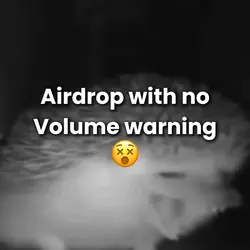 Loud dragon animal