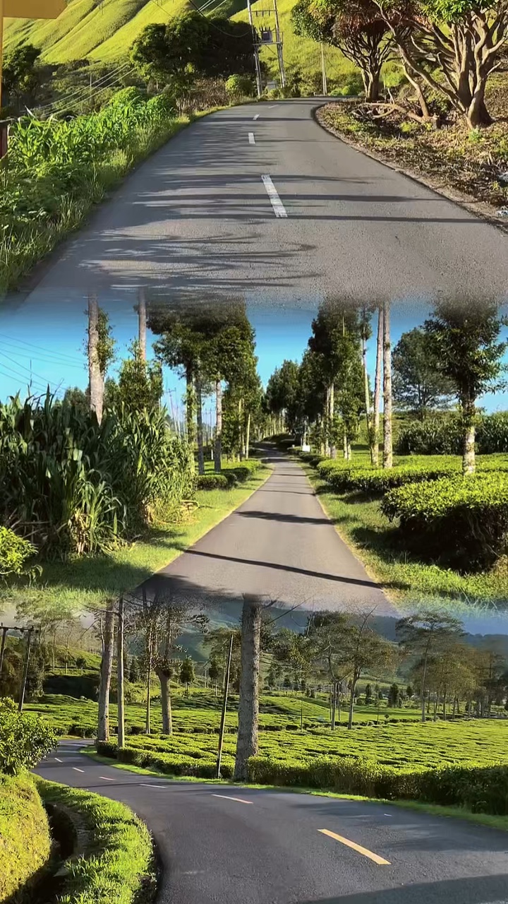 3 video 1 layout hd