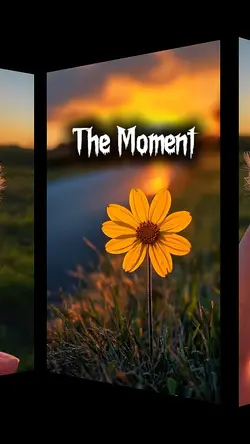 The Moment