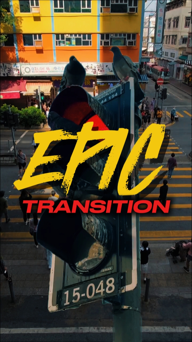 TRANSICIÓN ÉPICA