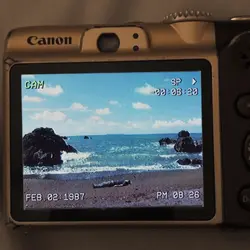 1 Video Clip