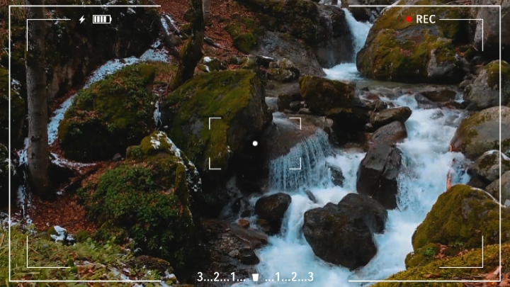 cinematic forest 