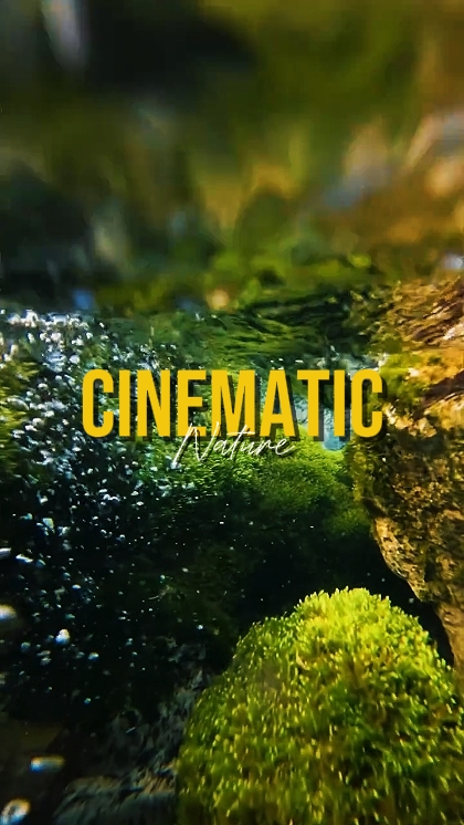 CINEMATIC NATURE