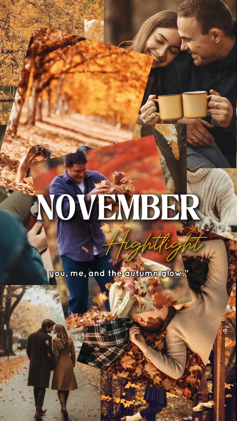 Novembro Hightlight
