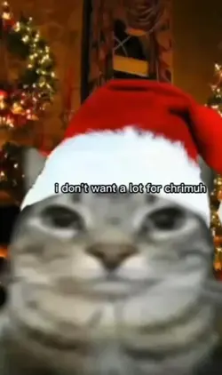 cats xmass