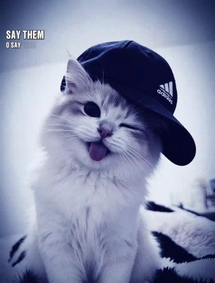 TAMPLETO DE NUEVA TENDENCIA