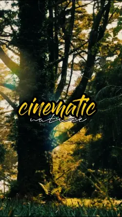 cinematic nature