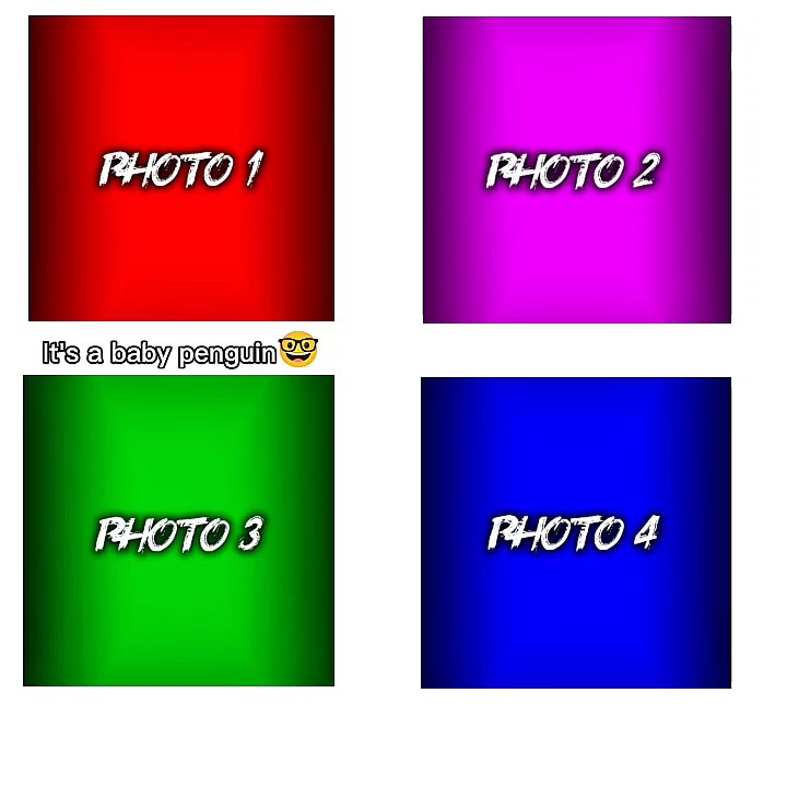 NUEVA PLANTILLA VIRAL