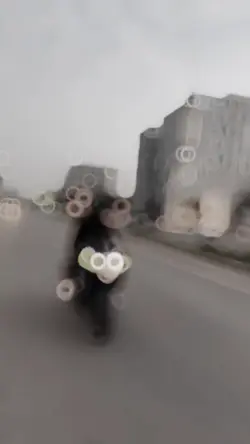 ุชุฑูุฏ ูุฎู