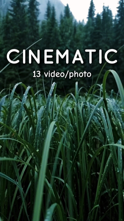 13 video cinematic 