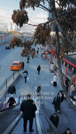 I will love again