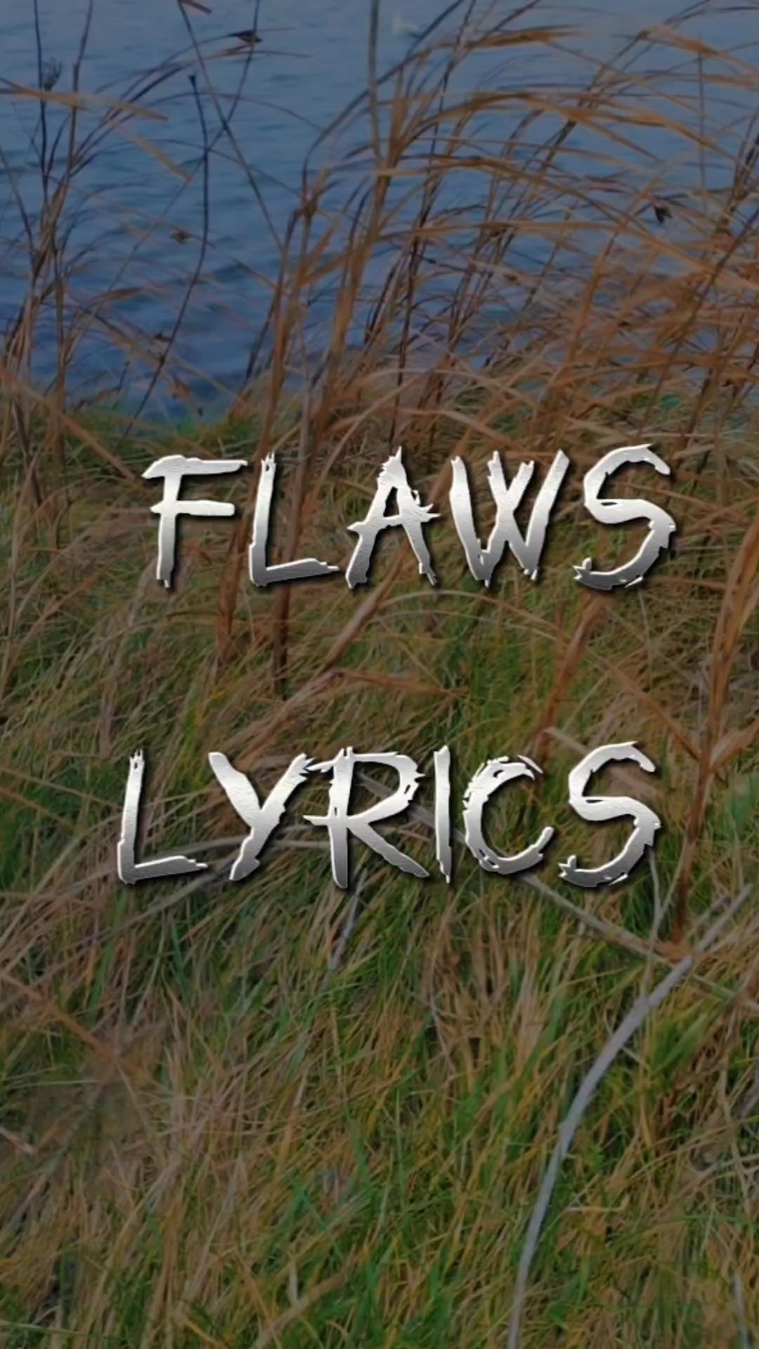 DEFECTOS - LETRAS 
