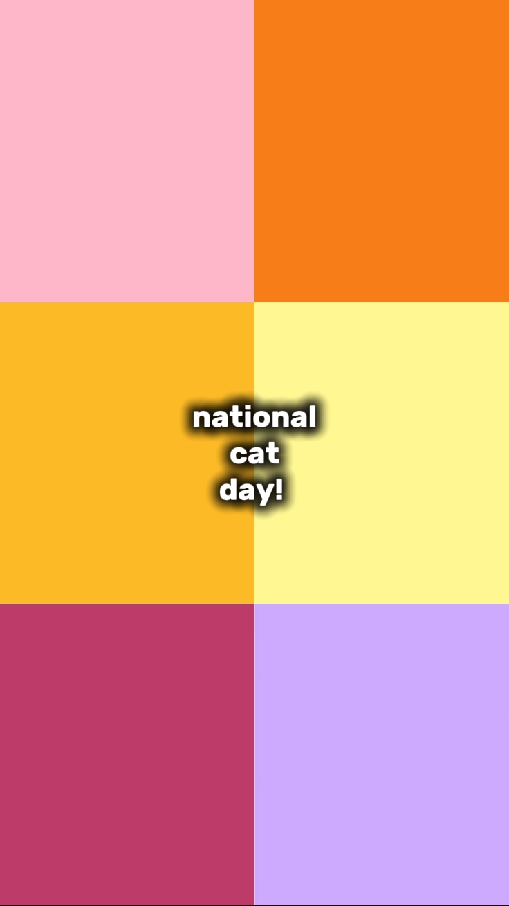 Día Nacional del Gato