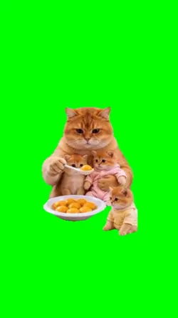 Mama Cat and kittens