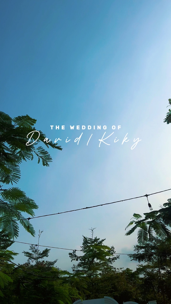 Cinematic Wedding 2