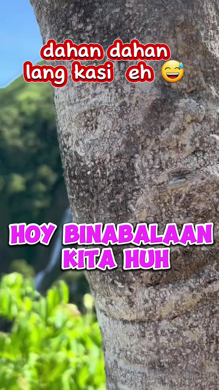 DAHAN DAHAN BESHEY 