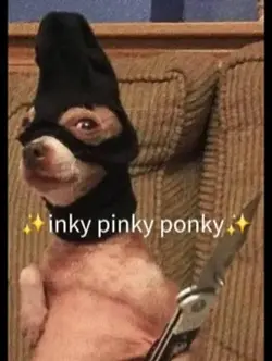 Inky pinky ponky