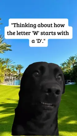 why????
