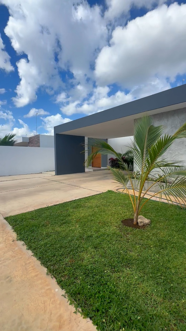 Immobilier 